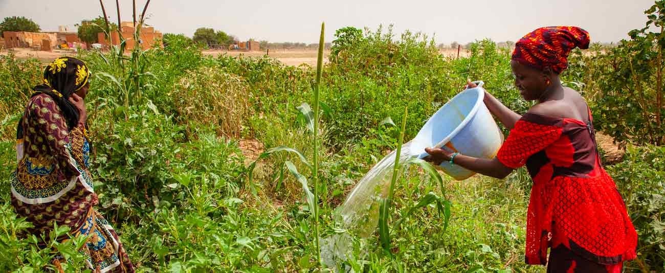 Ces 17M$ de la BAD qui vont tout changer pour les agricultrices rurales en Mauritanie