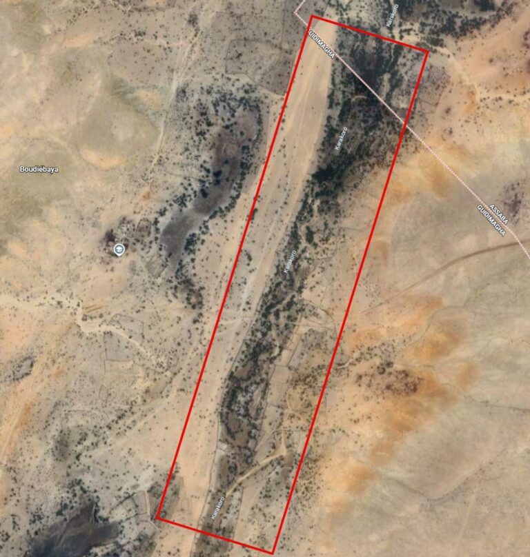 Projet du barrage du Karakoro : le défi d'une gouvernance responsable et participative