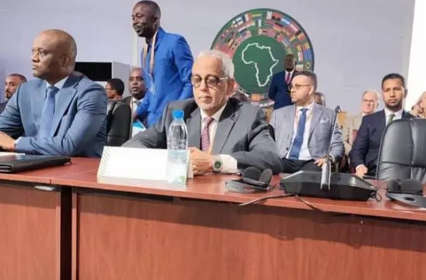 Le MAED au forum de Brazzaville : « les financements étrangers pourraient se transformer en une tutelle financière sur les pays africains »
