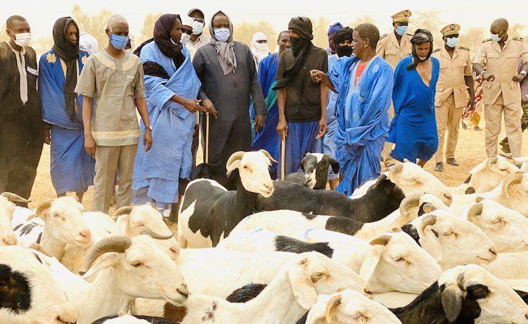 Tabaski 2026 : la Mauritanie envoie plus de 123 000 têtes pour le marché sénégalais
