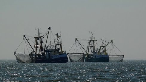 Mauritanie-Pêche : Des agréments exigibles des transporteurs à partir du 1er avril 2025